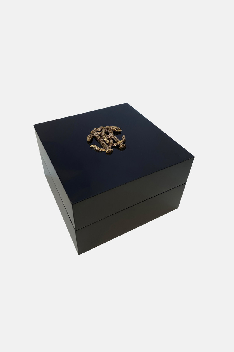 Roberto Cavalli by Franck Muller Men watch 4