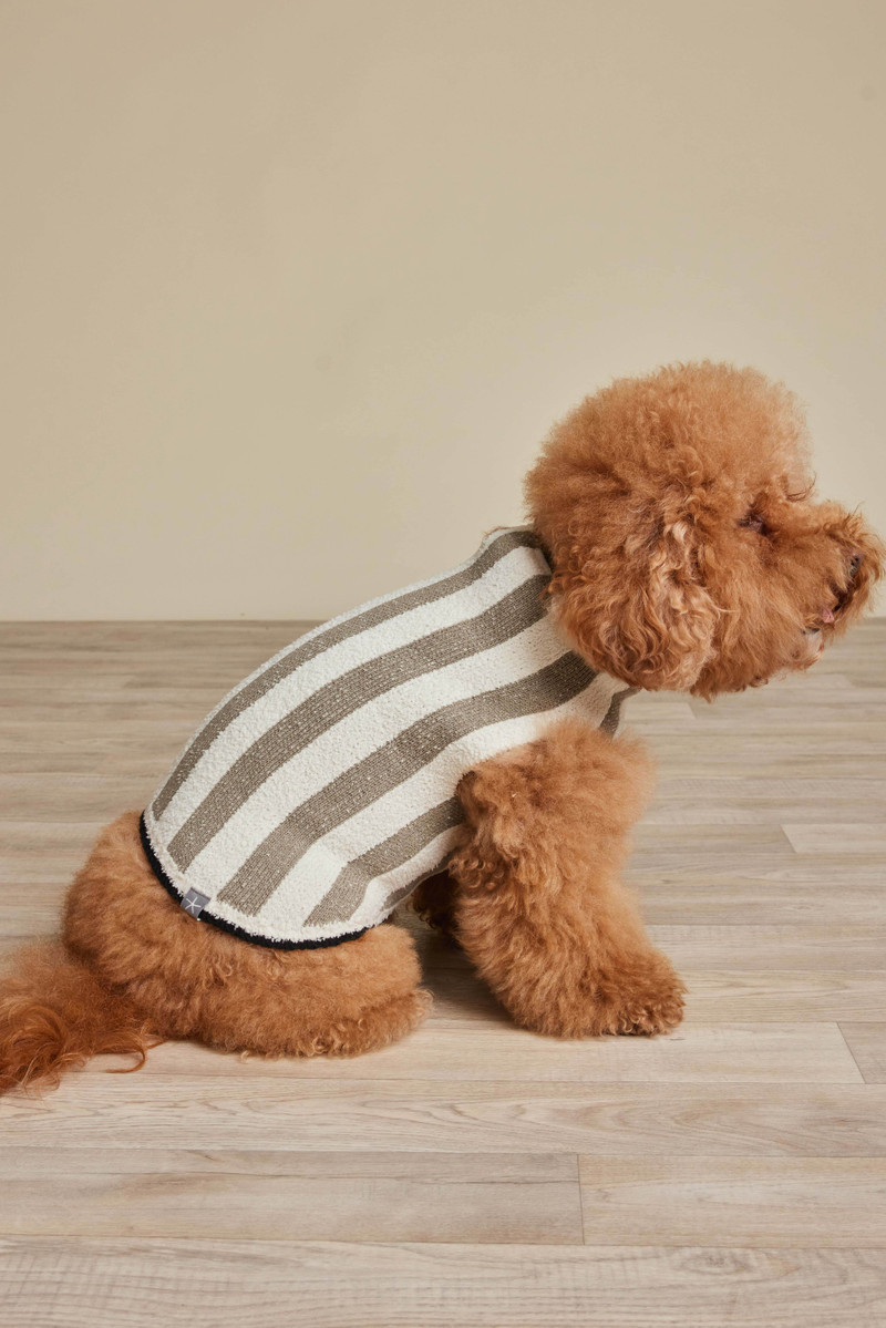 Barefoot Dreams CozyChic® Cotton Classic Stripe Pet Sweater outlook