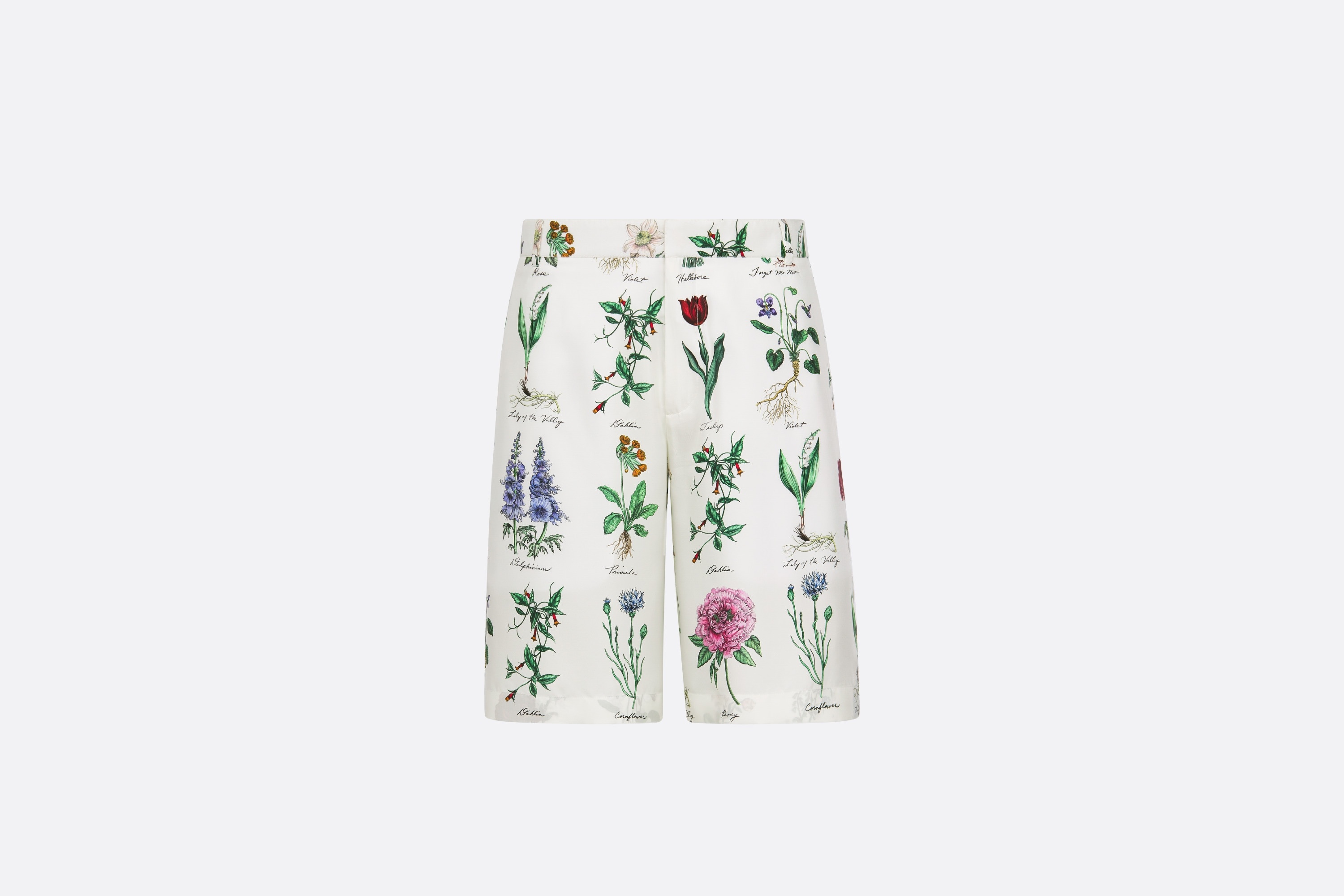 Herbarium Illustration Bermuda Shorts - 1