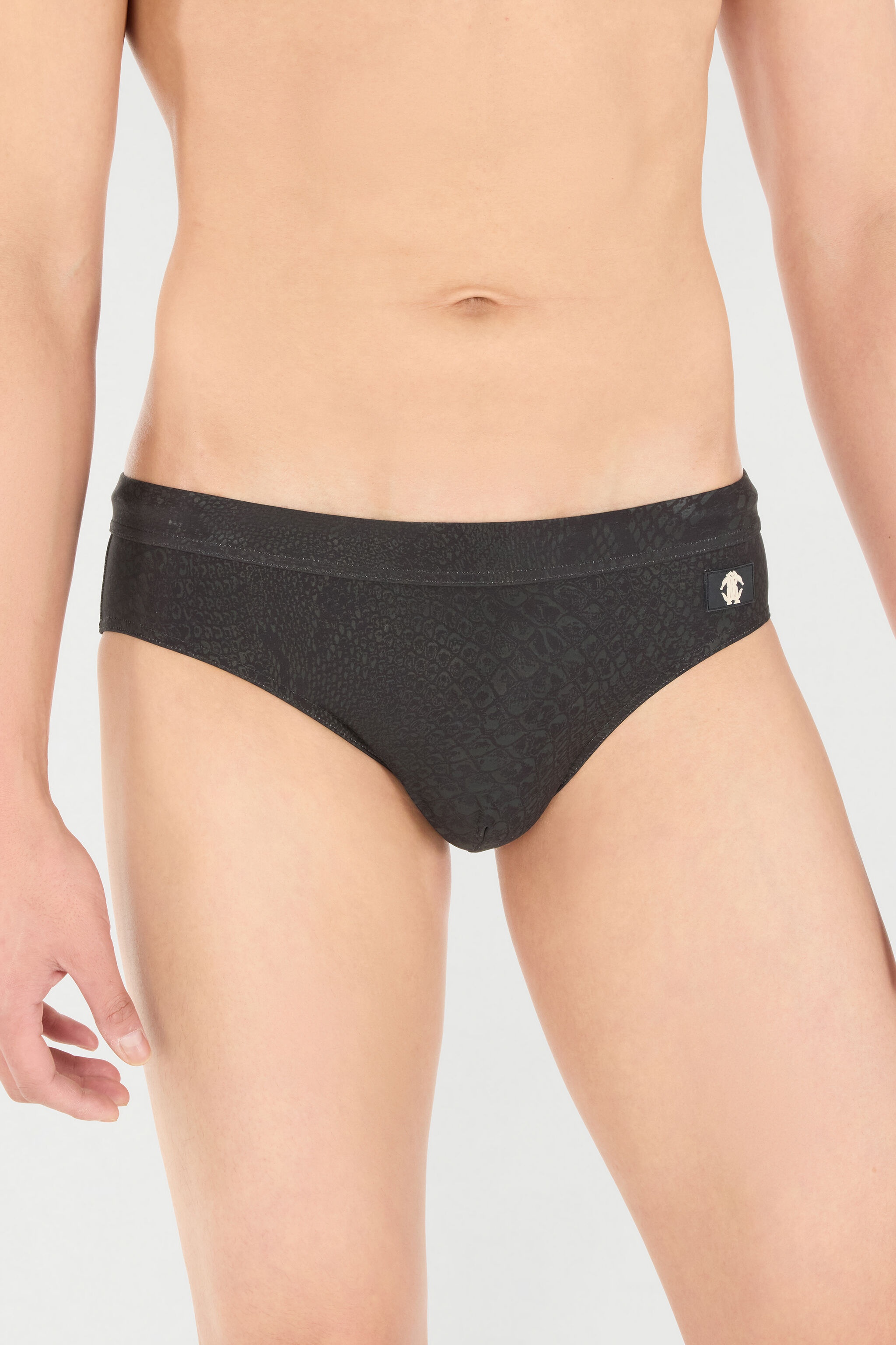 Python-Print Swim Briefs - 6
