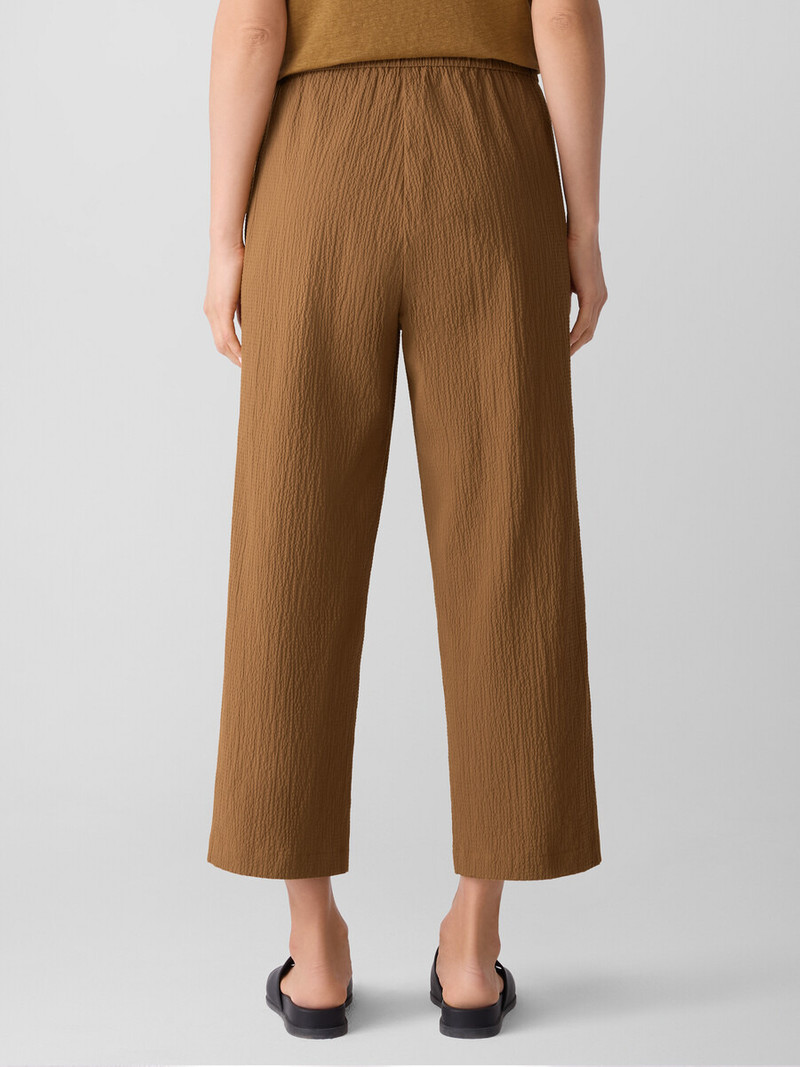 Organic Cotton Pucker Straight Pant 4