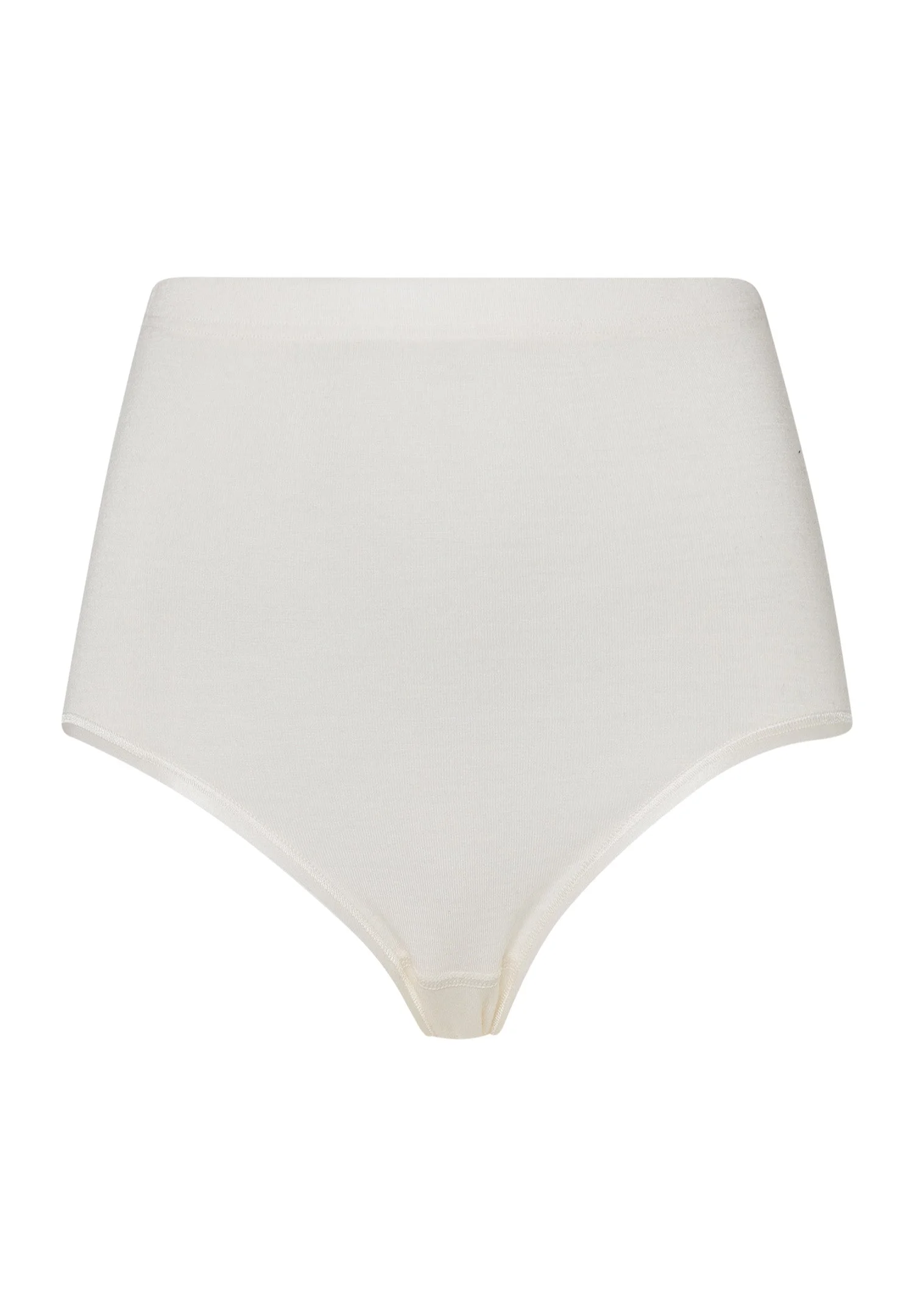 Woolen Silk W Wool and Silk Full Brief - 1