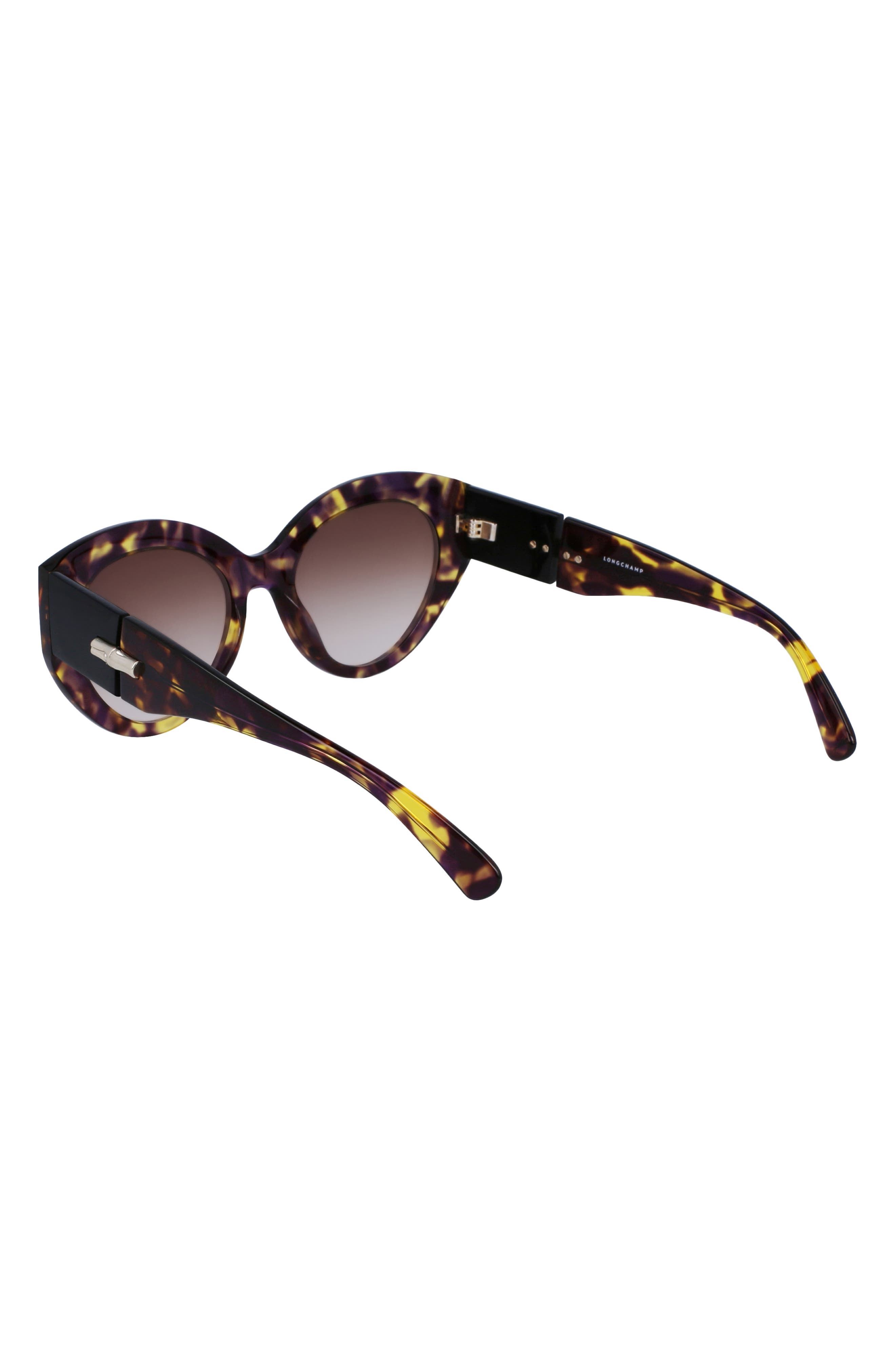 Roseau 54mm Gradient Cat Eye Sunglasses - 4