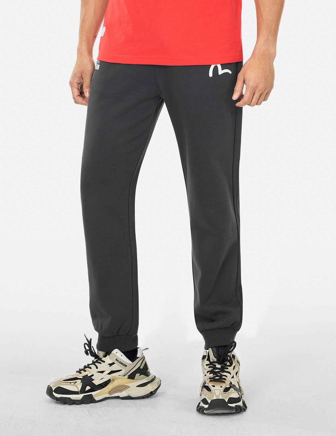 Spray-dyed Seagull and Logo Print Straight Fit Sweatpants - 6