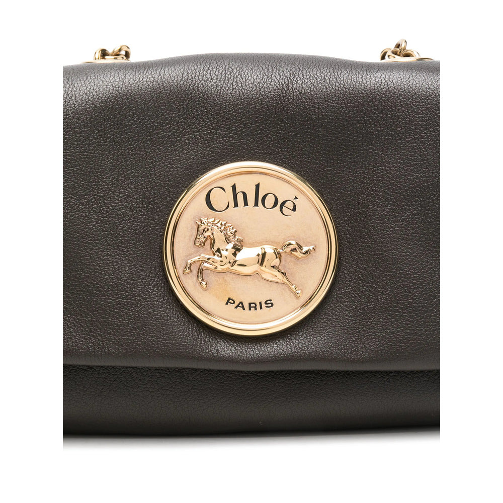 Chloé Brown Satchels & Cross Body Bags Women - 4