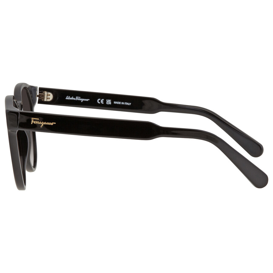 Salvatore Ferragamo Grey Gradient Round Ladies Sunglasses SF1068S 001 52 - 4