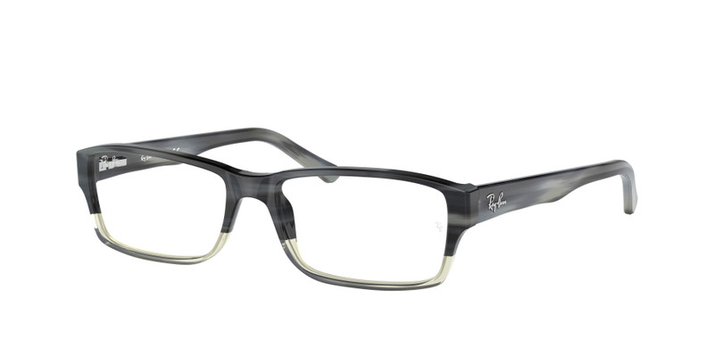 RB5169 OPTICS 3