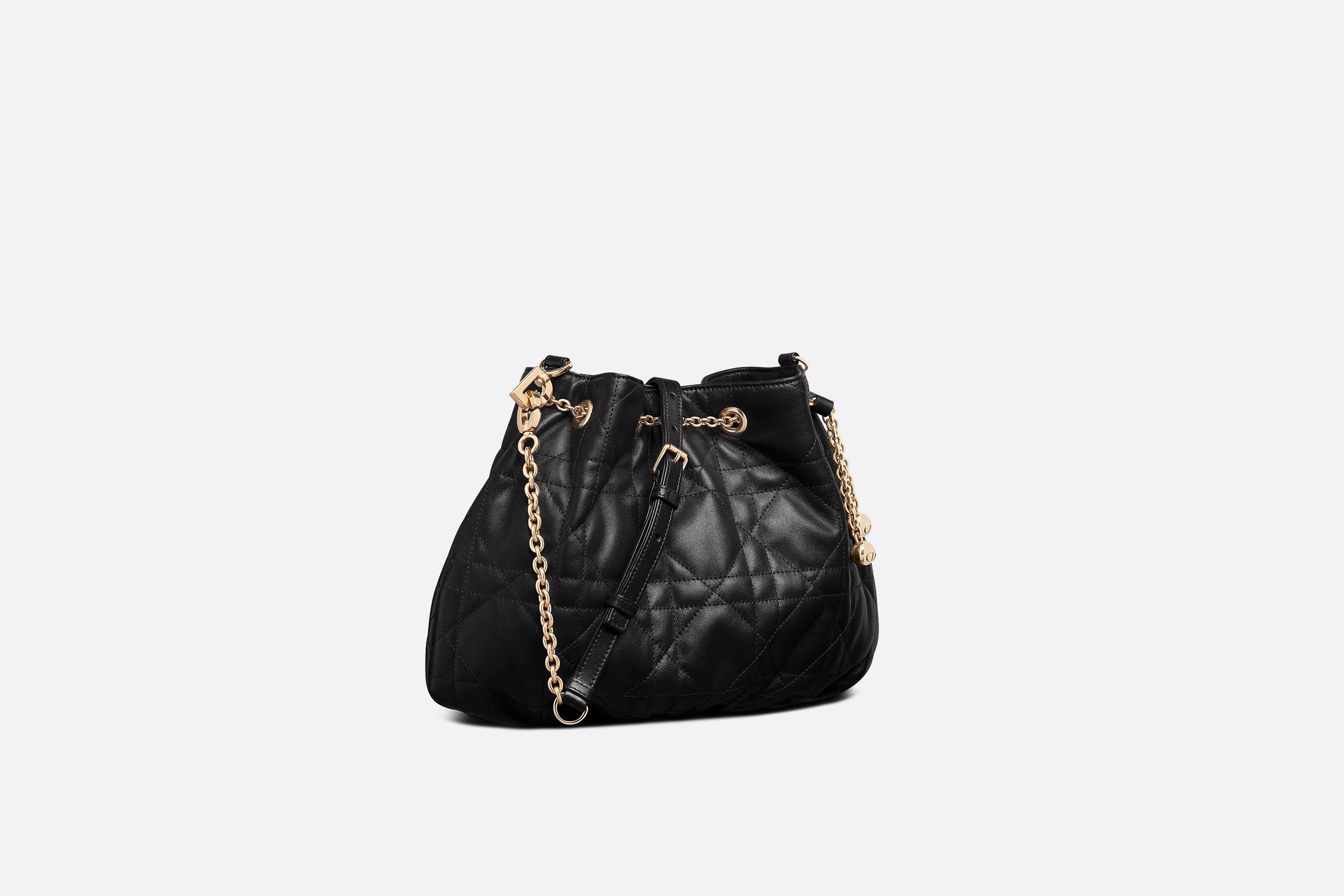 Medium Dior Ammi Bag - 2