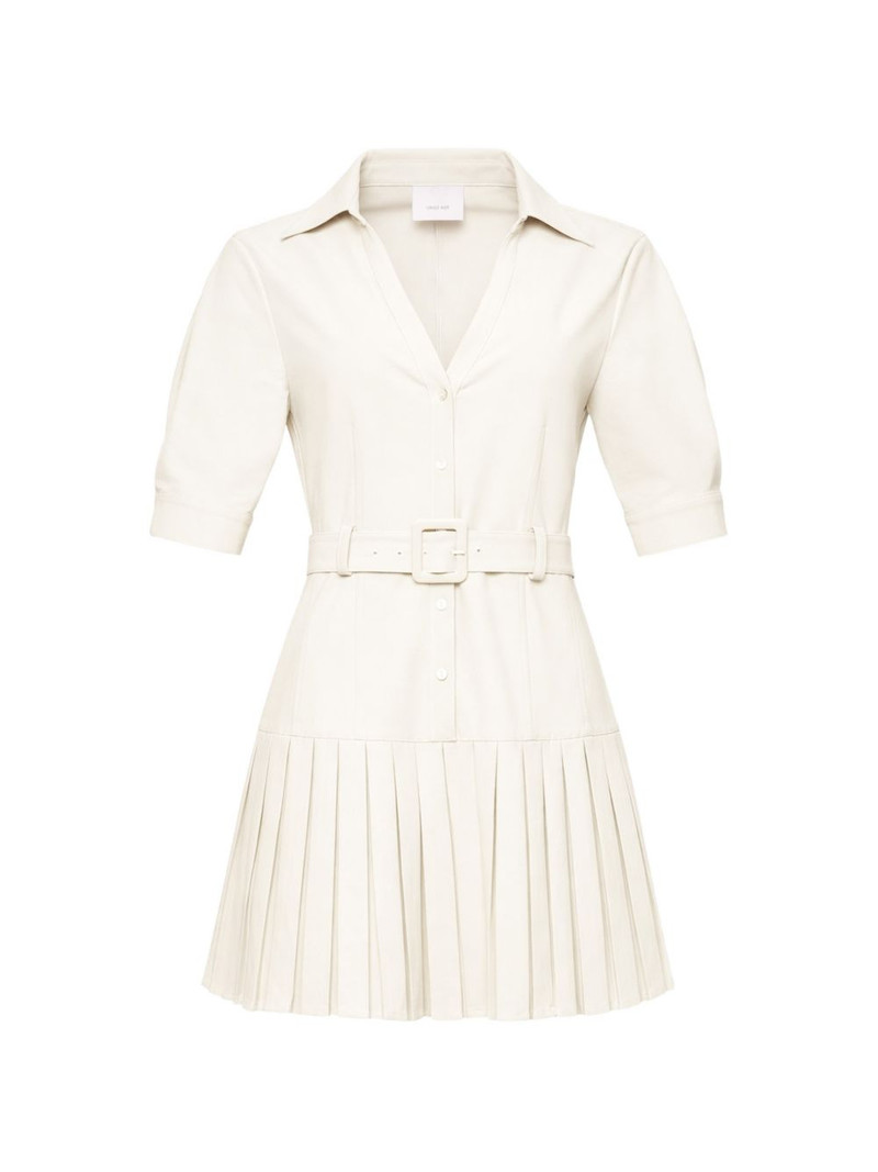 Moriah pleated belted mini dress 1