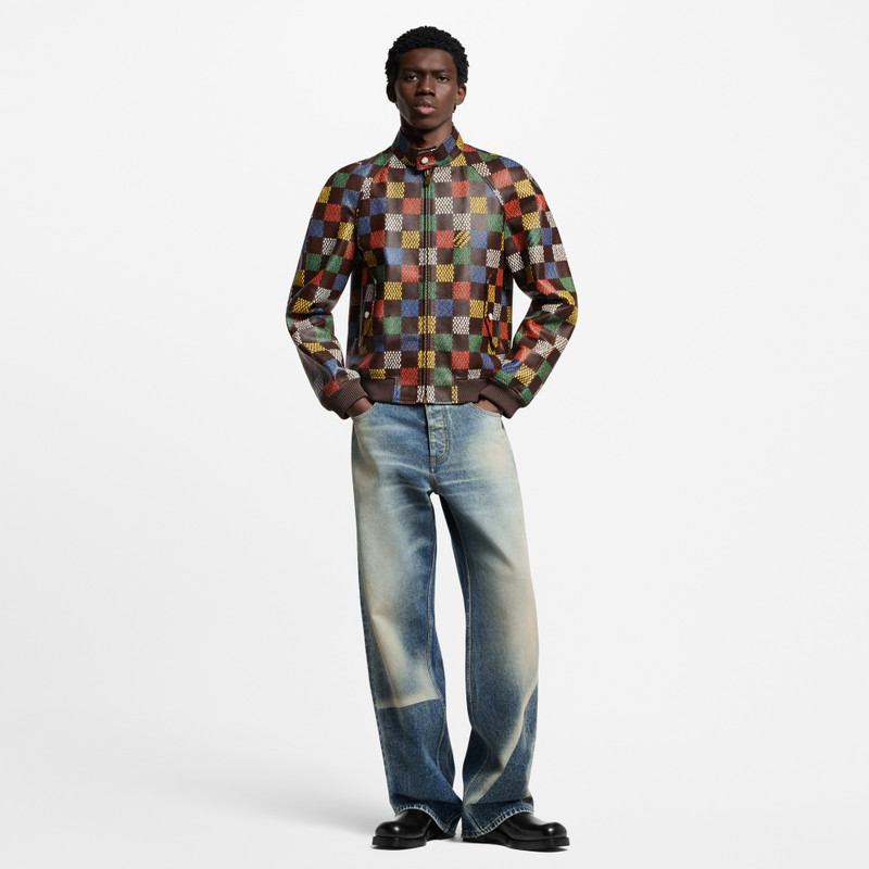 Louis Vuitton Damier Leather Blouson outlook