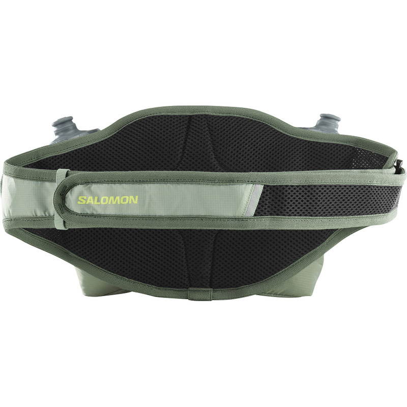 SALOMON CROSS outlook