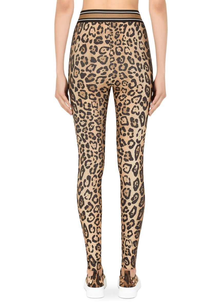 Leopard-print spandex/jersey leggings - 5