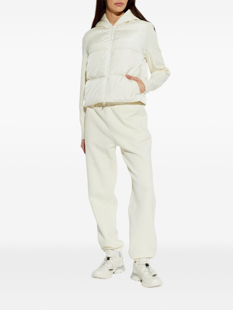 Canada Goose hooded puffer jacket outlook