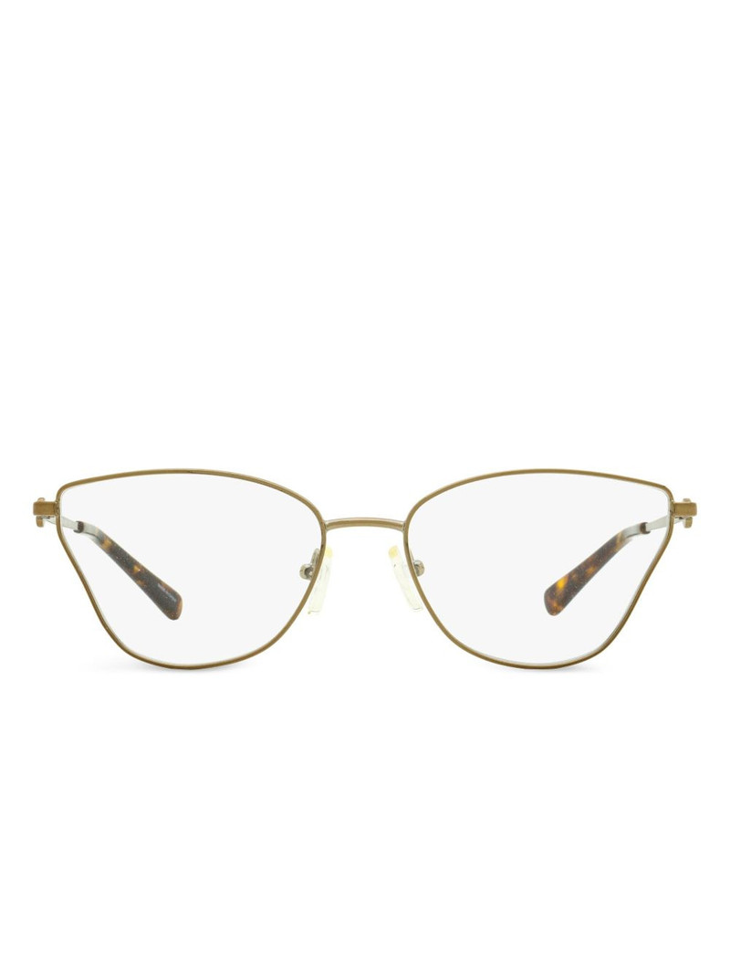 Toulouse glasses 1