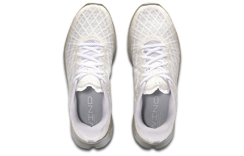 Under Armour (WMNS) Under Armour FLOW Velociti Wind CN 'White Grey' 3025222-101 outlook