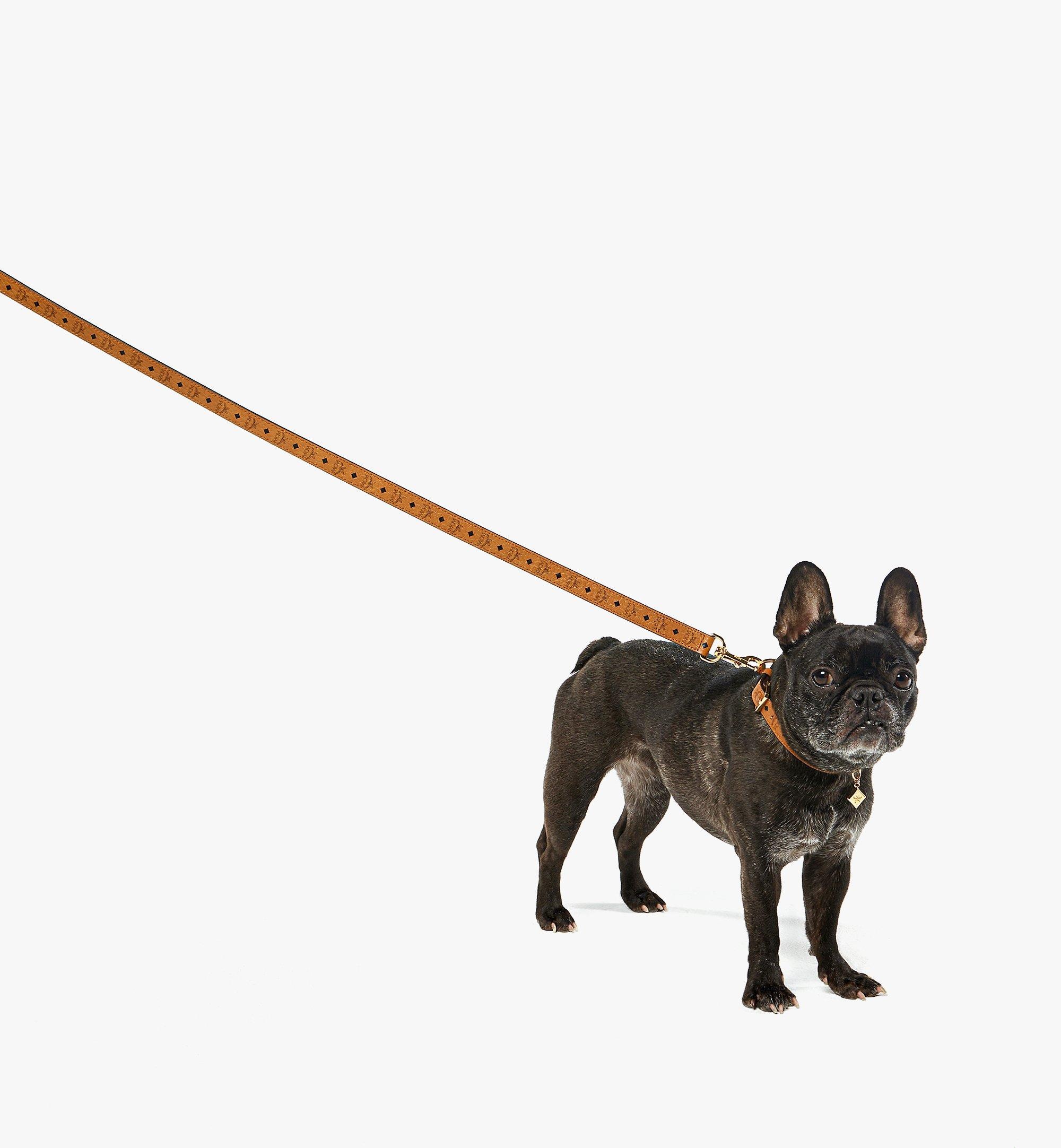Pet Leash in Monogram Print Leather - 6
