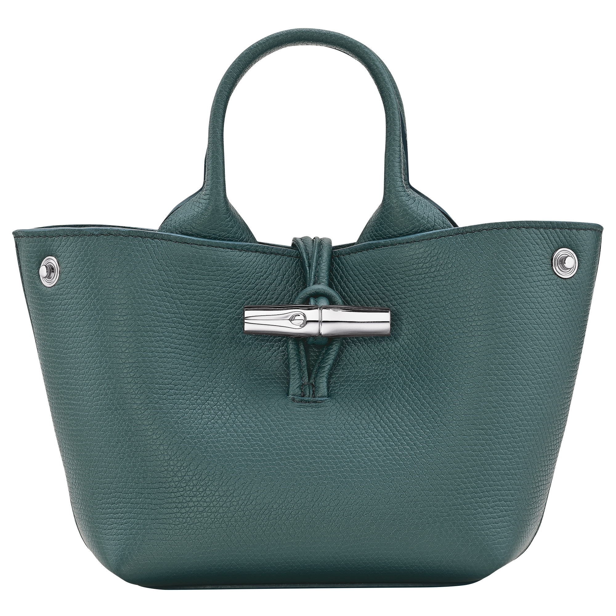 Le Roseau XS Handbag Cedar - Leather - 5