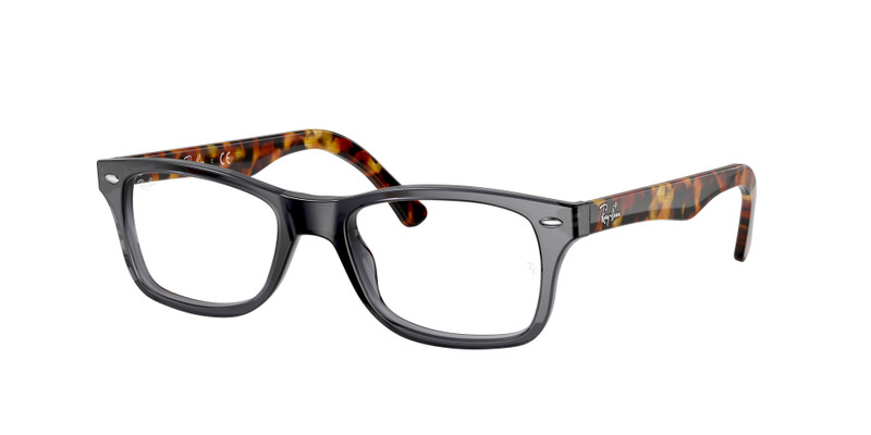 RB5228 OPTICS 3