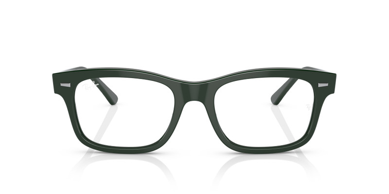 RB5387 OPTICS 4