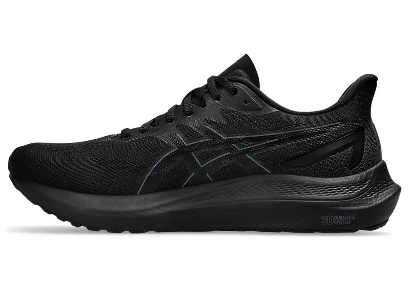 Asics GT-2000 12 outlook
