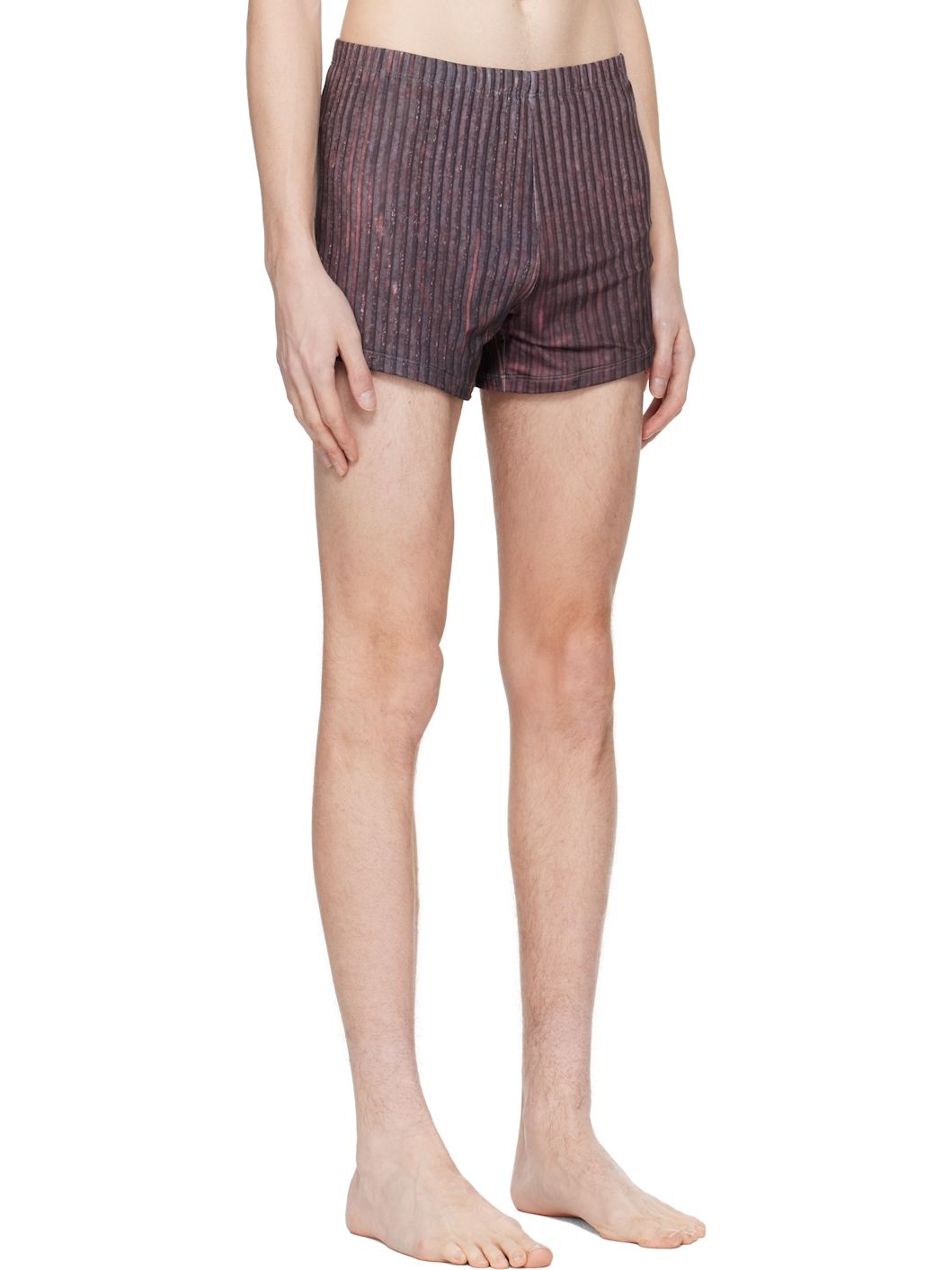 Burgundy Aub Stripes Swim Shorts - 2