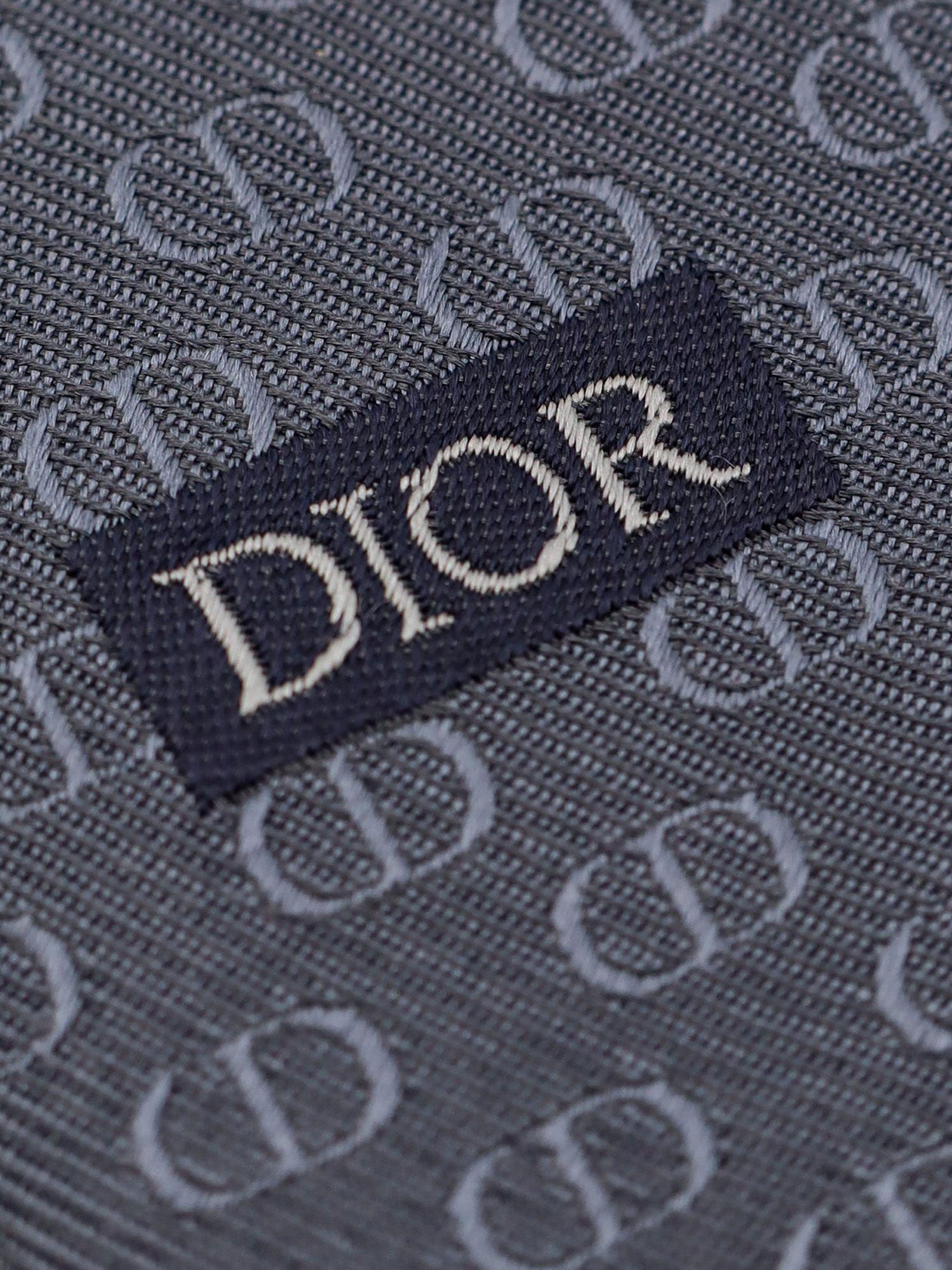 Dior Silk Tie - 3