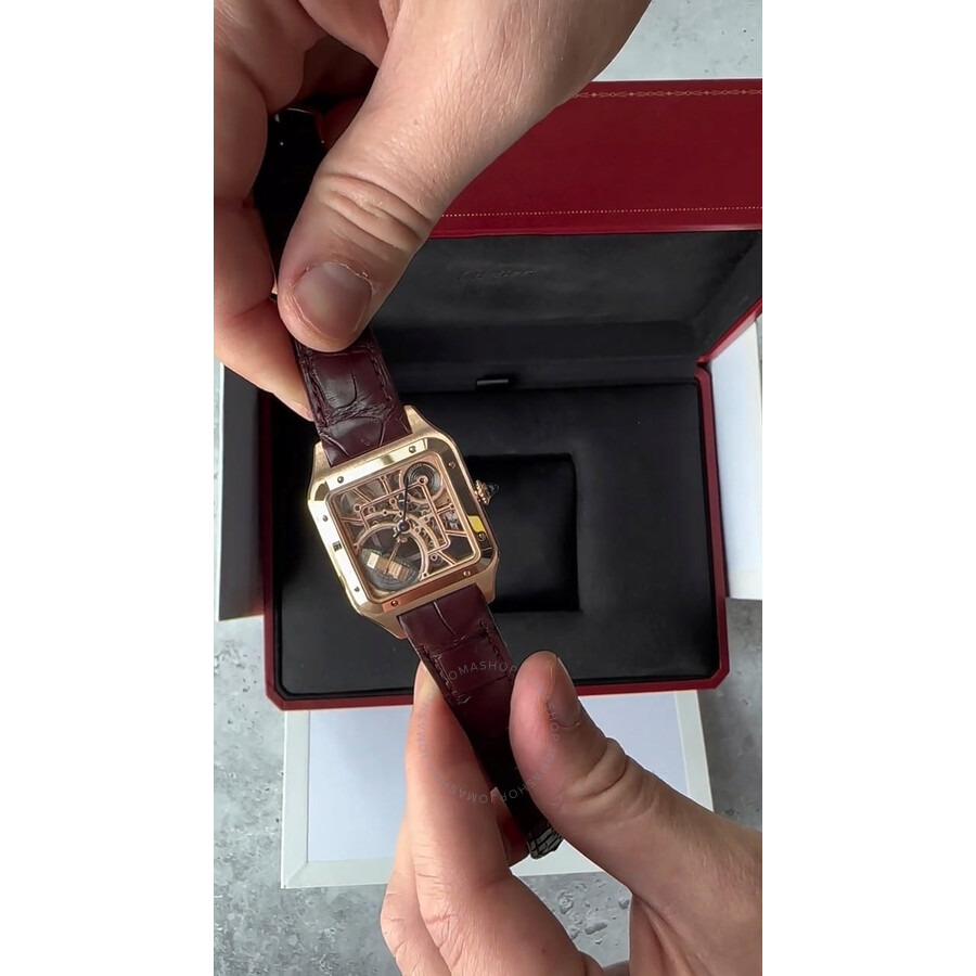 Cartier Santos-Dumont Large Model Skeleton With Micro Rotor Automatic WHSA0030 - 4