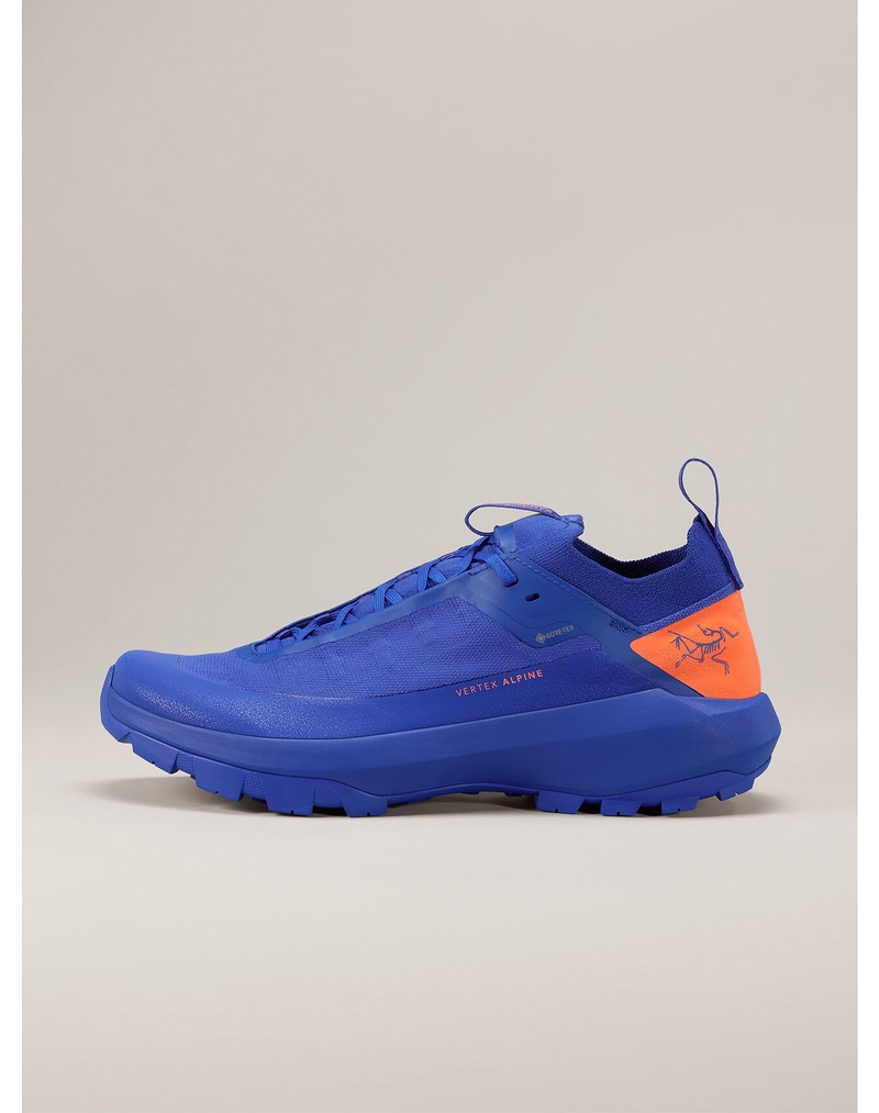 Vertex Alpine GTX Shoe 1