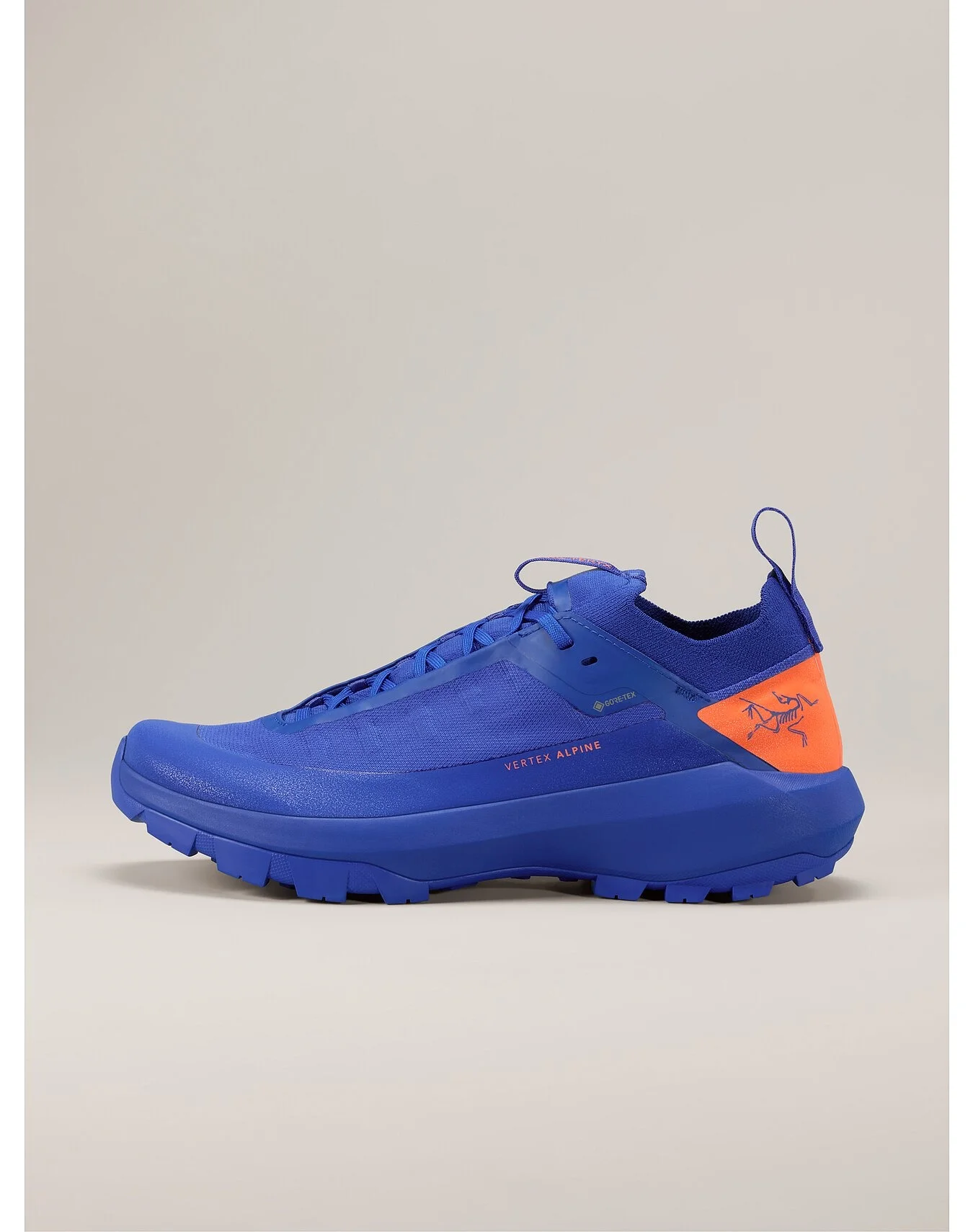 Vertex Alpine GTX Shoe - 1