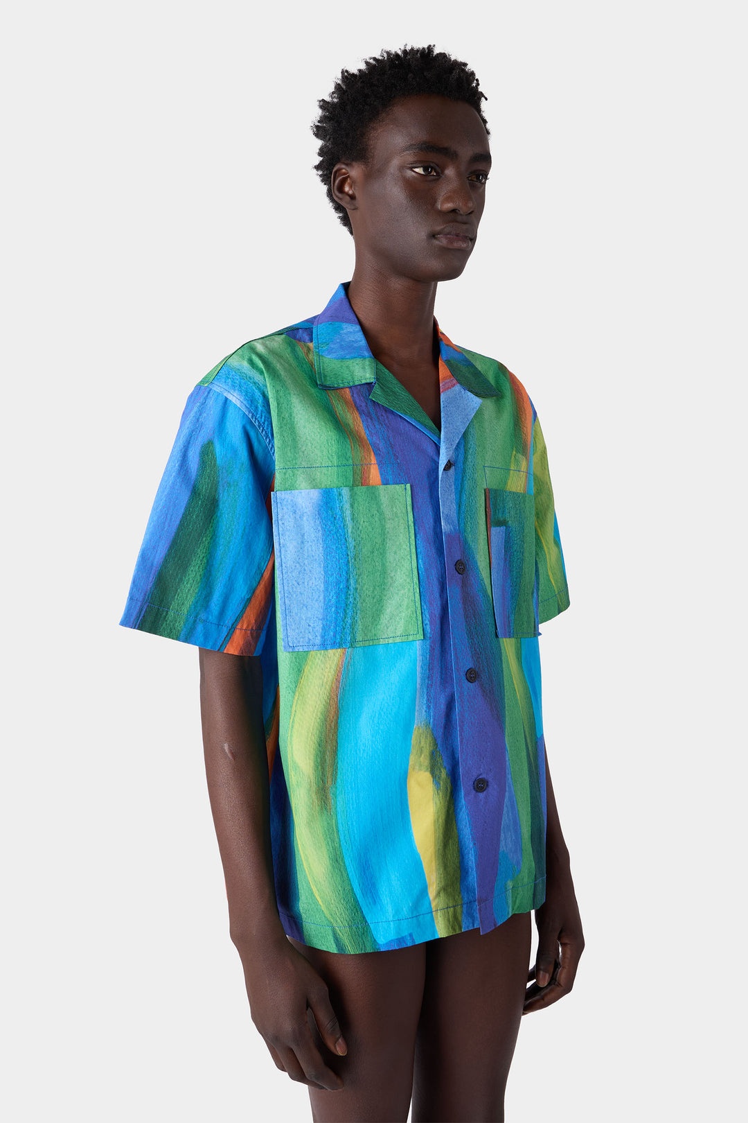 PENNELLETA SHORTSLEEVE SHIRT / multicolor allover print - 3