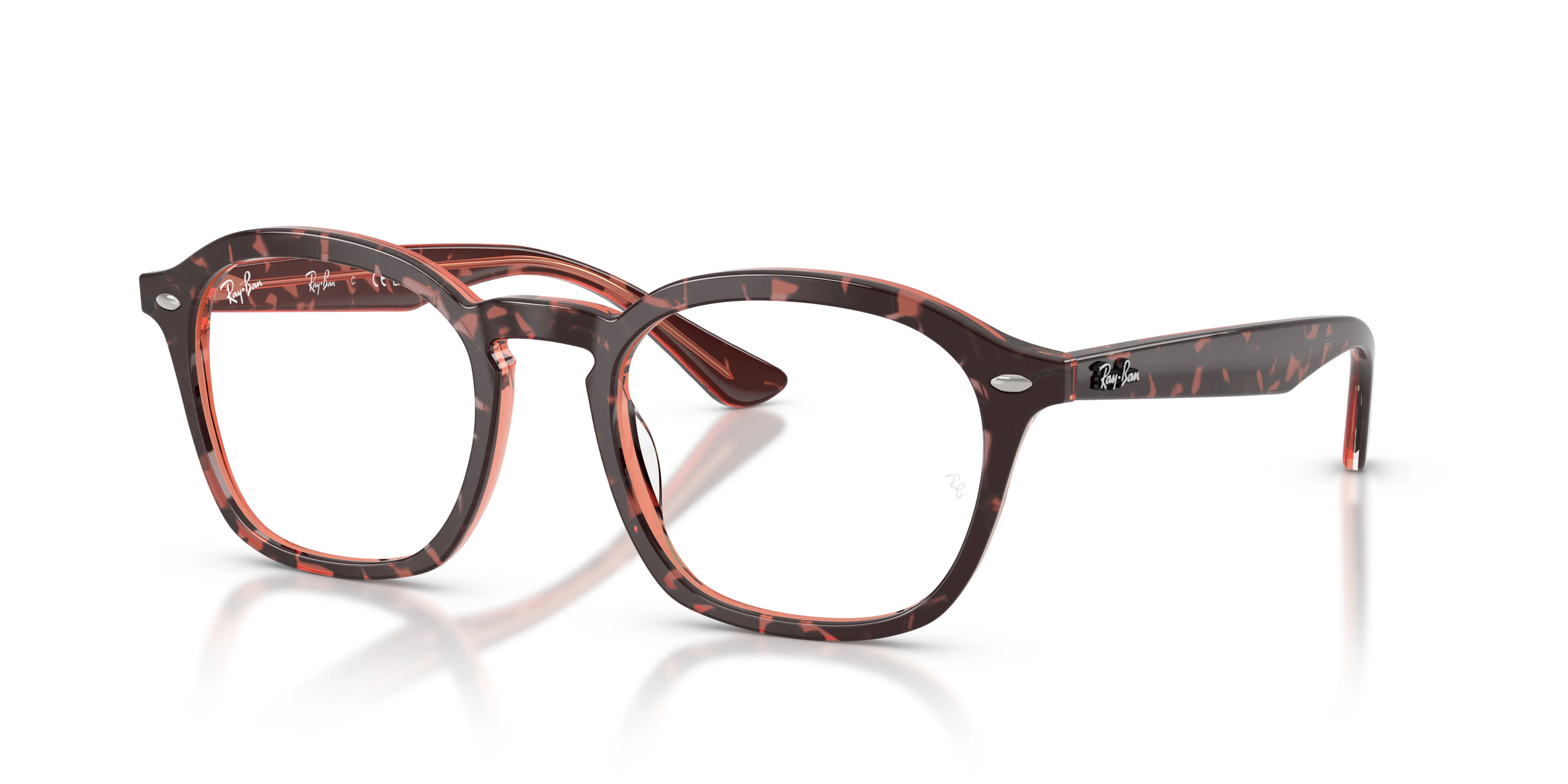 RB5451 OPTICS - 1