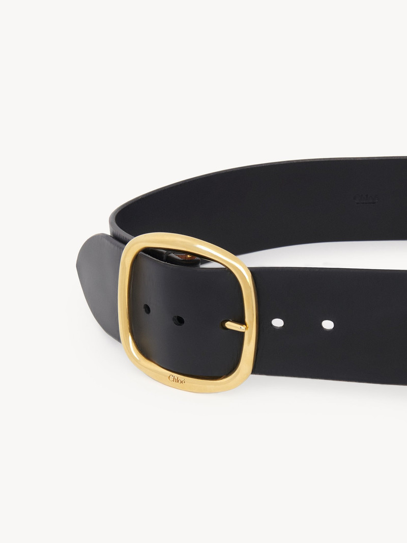THE CHLOÉ ANITA BELT 4