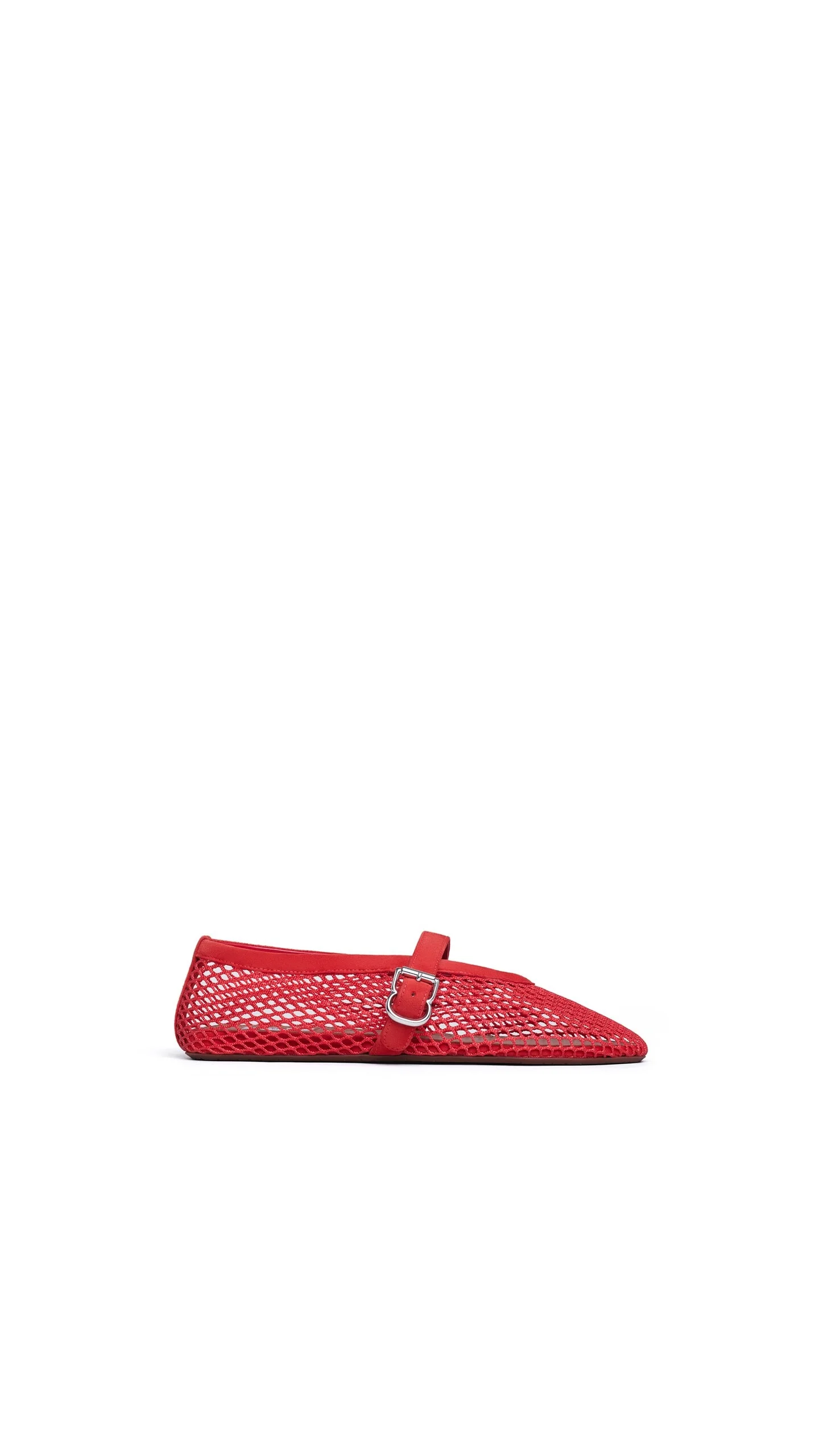 BALLET FLATS IN FISHNET AND SUEDE - 1