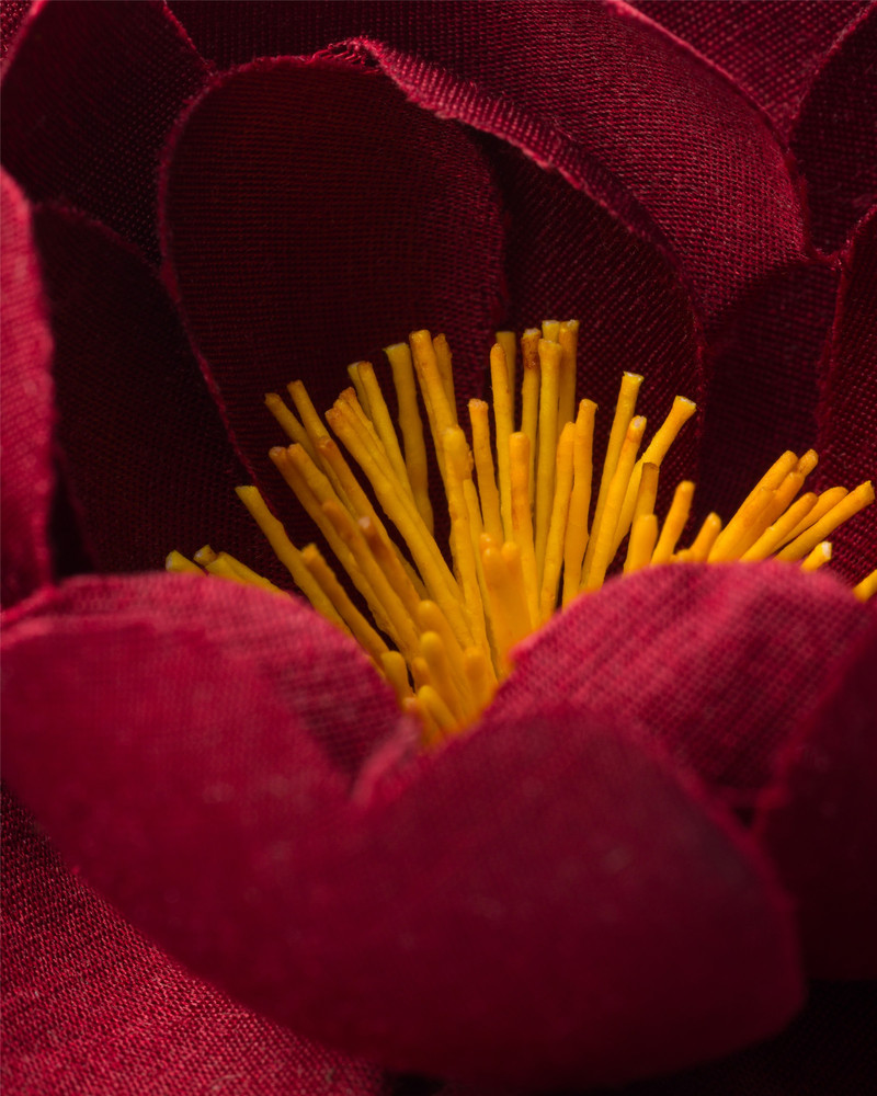 Prada Radzimir and metal flower brooch outlook