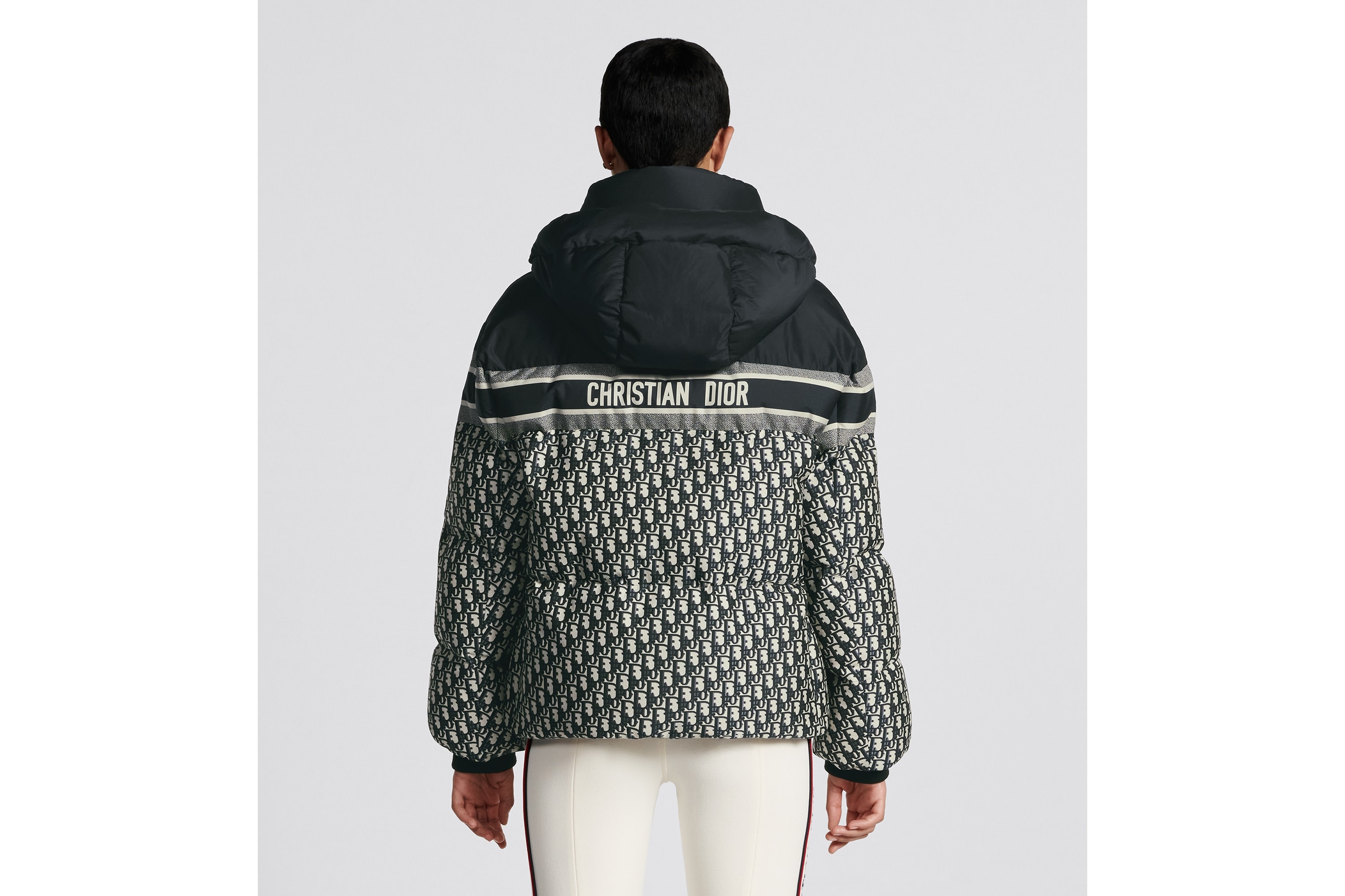 DiorAlps Hooded Puffer Jacket - 4