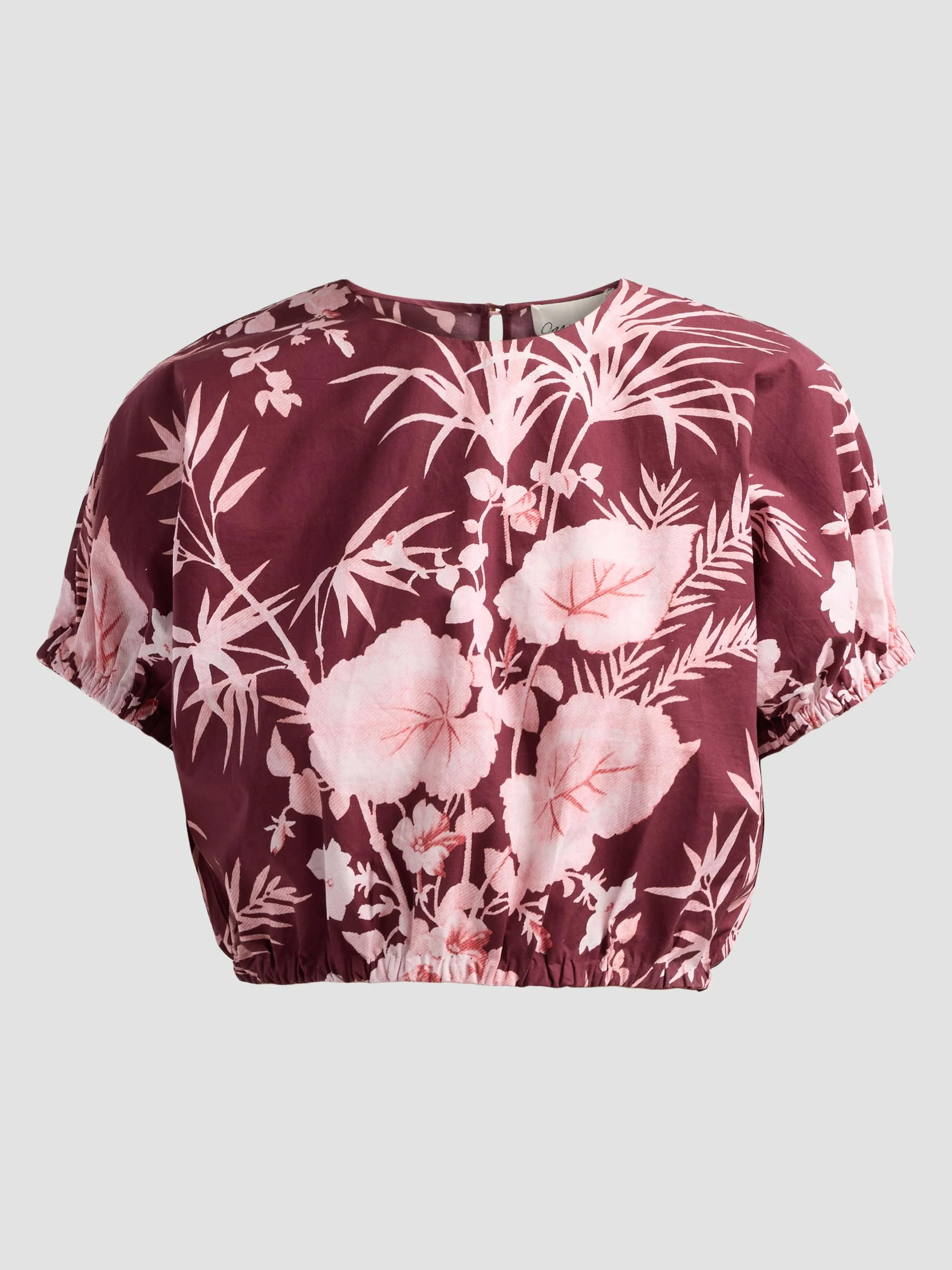 Women's Bari Printed Poplin Crop Top - Paradise Blush - 1