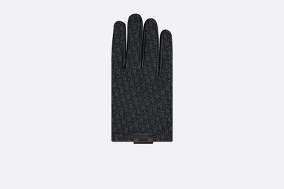 Dior Gloves outlook