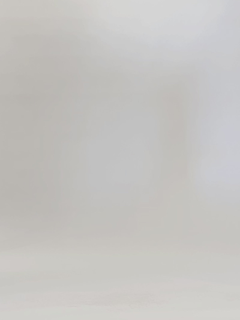 Zion Top in Linen Viscose 7