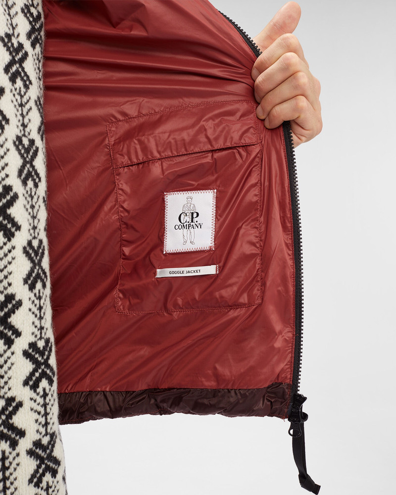 D.D. Shell Goggle Down Vest 6