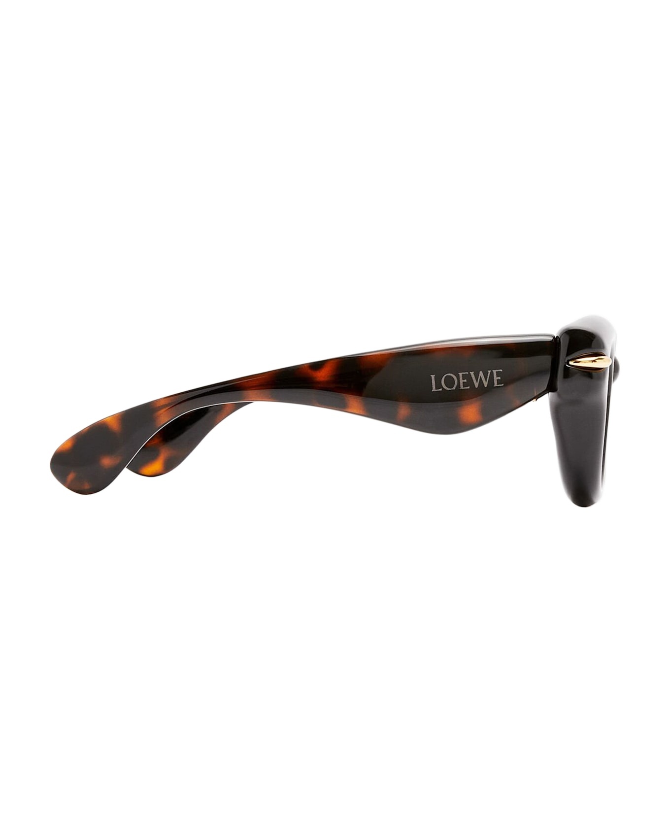 Inflated Round - Dark Havana Sunglasses - 3