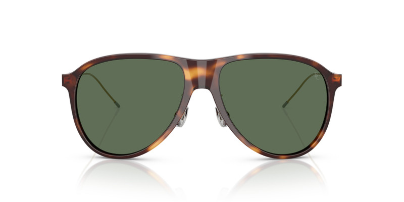 Brunello Cucinelli BC4011S outlook