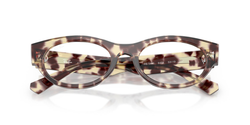 Ray-Ban RB5447 OPTICS outlook