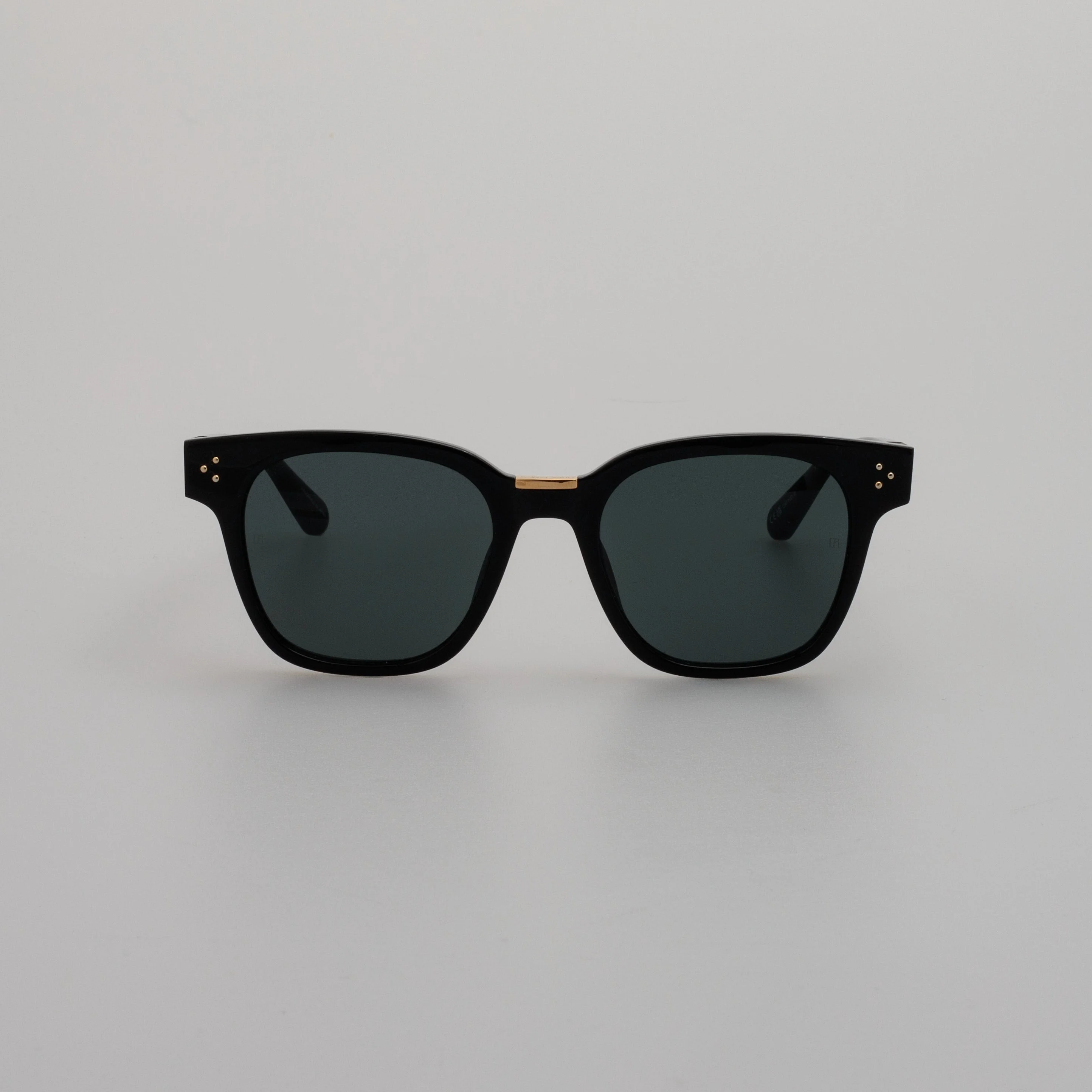 SANCHEZ D-FRAME SUNGLASSES IN BLACK - 1