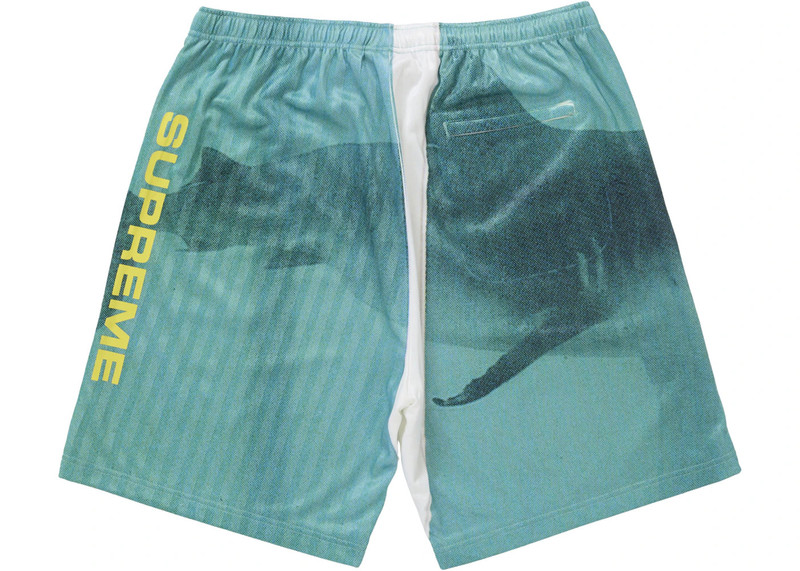 Supreme Supreme Damien Hirst Soccer Short White outlook