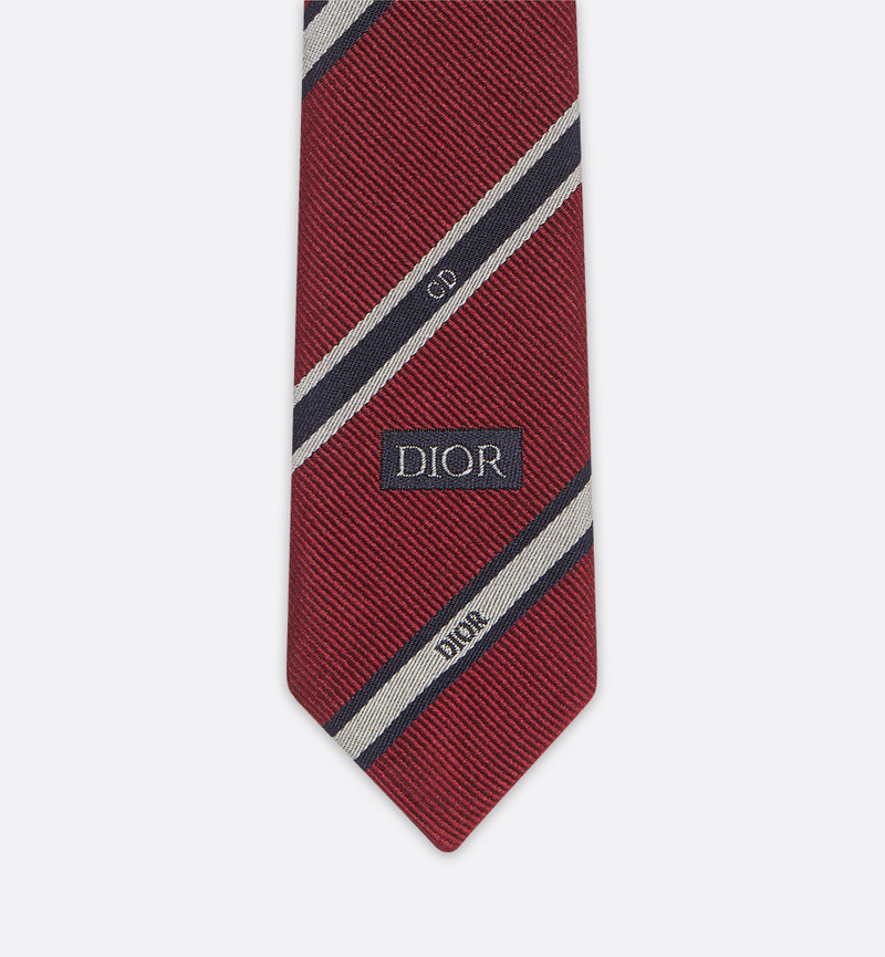 Dior Dior Club Tie outlook