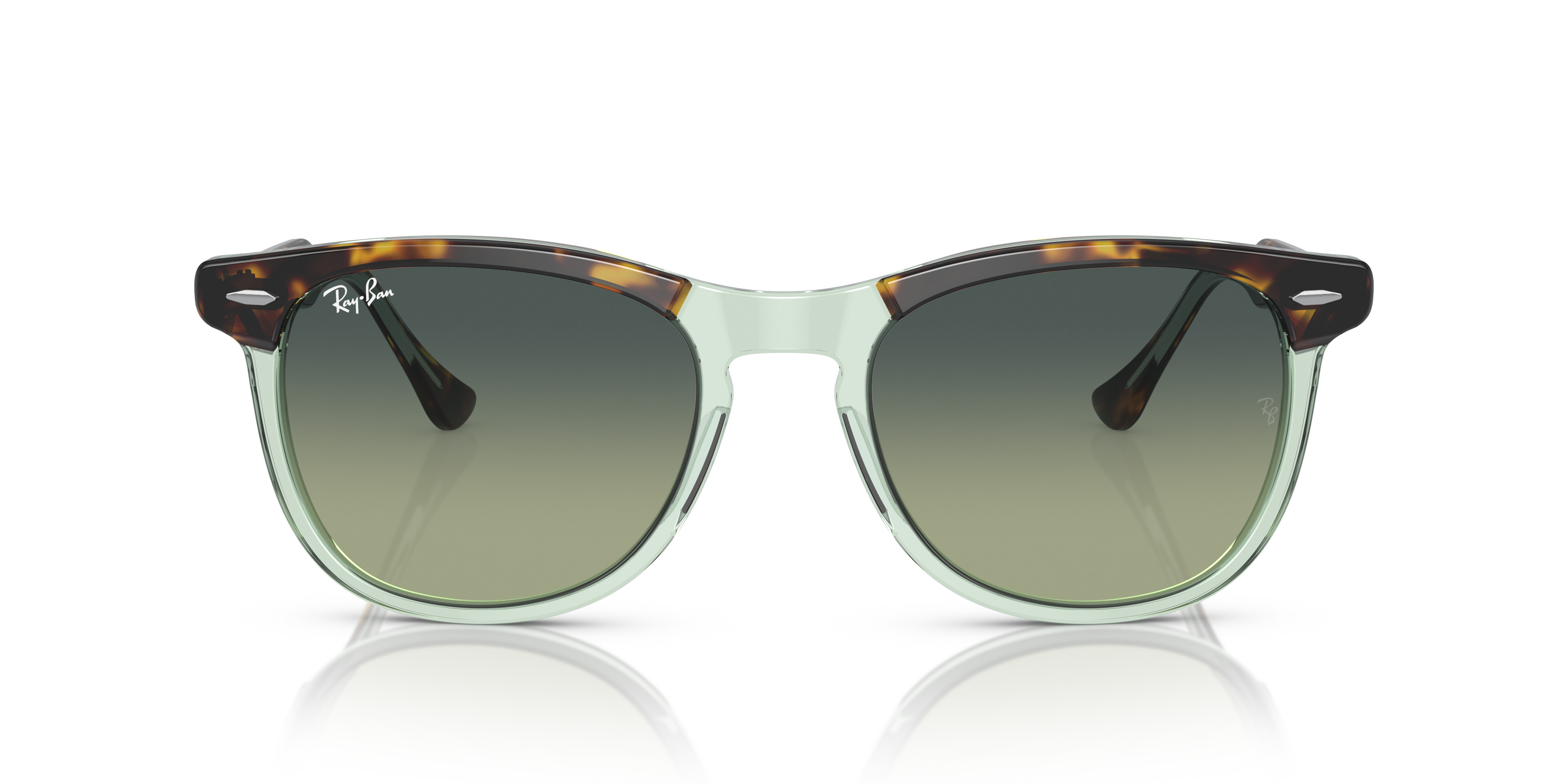 RB2398 Eagle Eye - 2