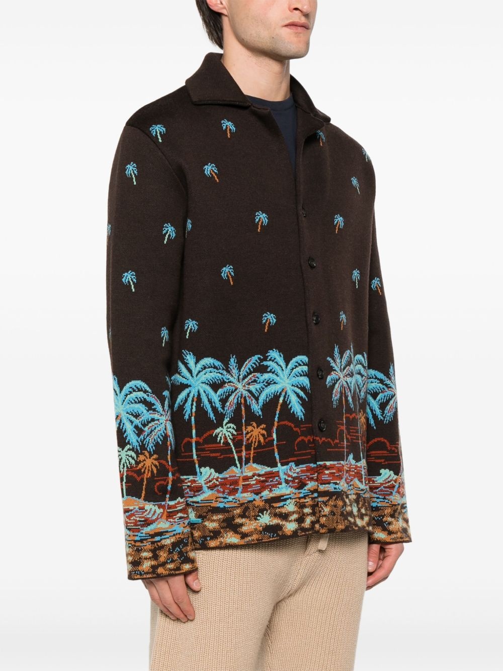 The Tale of a Hawaiian shirt - 3