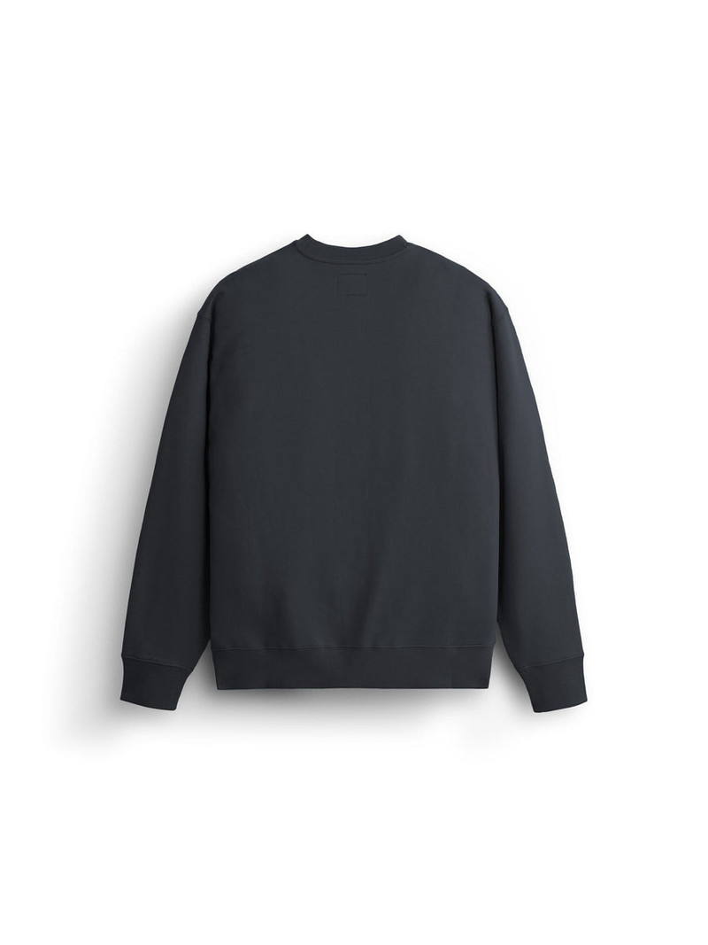 ALPHA INDUSTRIES ESSENTIAL FRENCH TERRY CREWNECK GEN II outlook