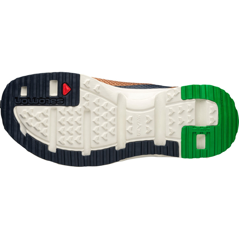 SALOMON RX MOC 3.0 outlook