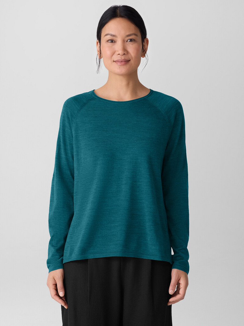 EILEEN FISHER Superfine Merino Crew Neck Top in Regenerative Wool outlook